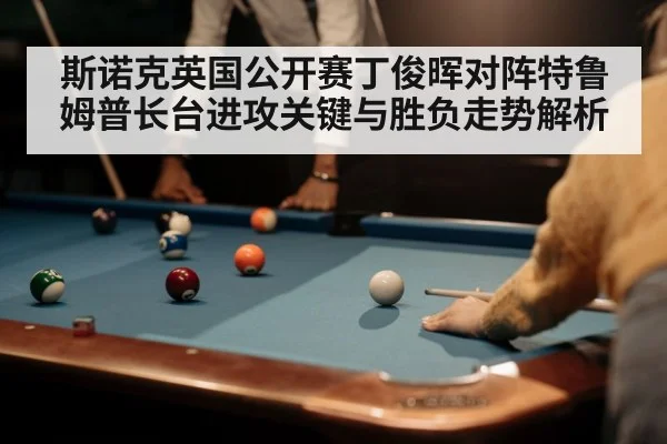 snooker player cue